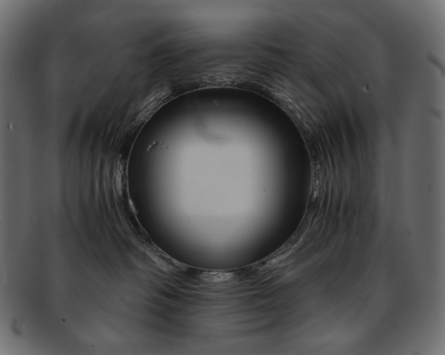 X0000091920334200709191344