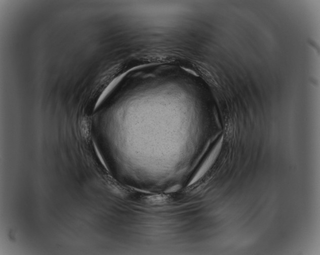 X0000091920335200709191344