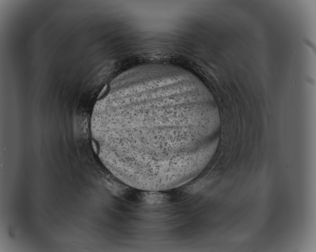 X0000091920336200709191344