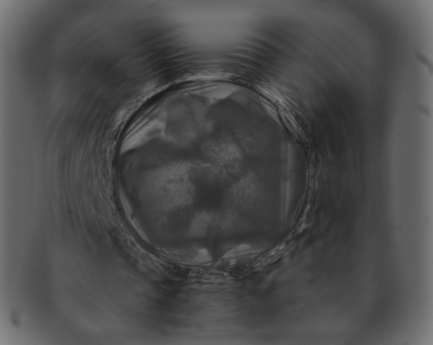 X0000091920337200709191344