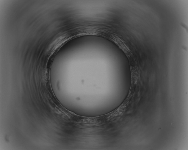 X0000091920338200709191344