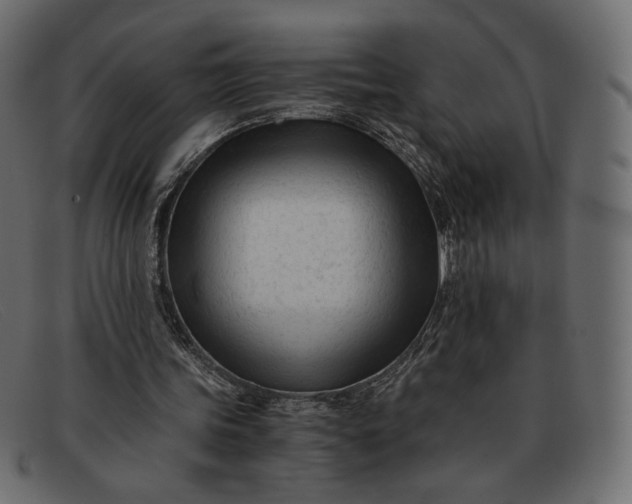 X0000091920339200709191344