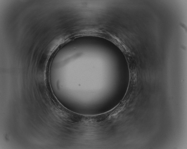 X0000091920340200709191344