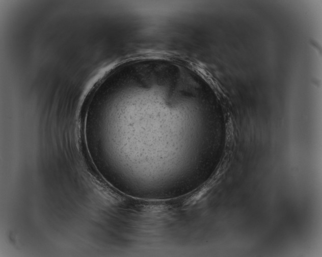 X0000091920342200709191344