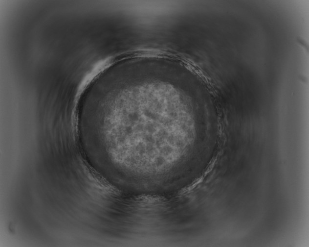 X0000091920343200709191344