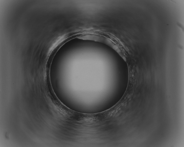 X0000091920344200709191344