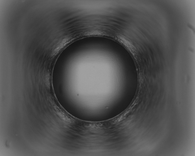 X0000091920345200709191344