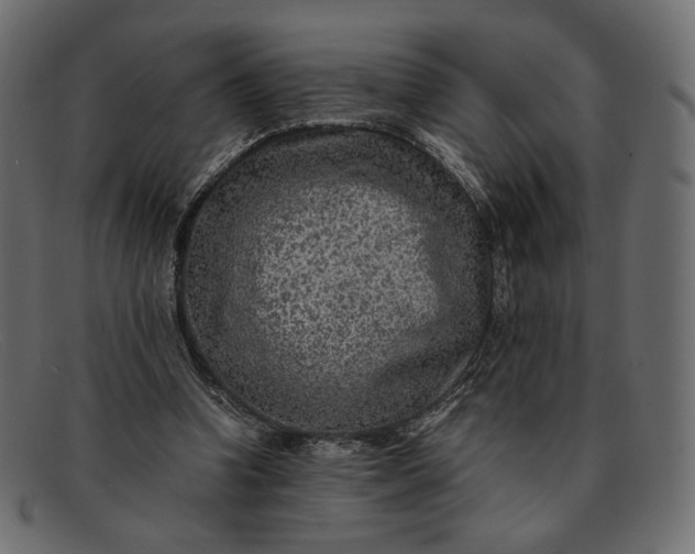 X0000091920346200709191344