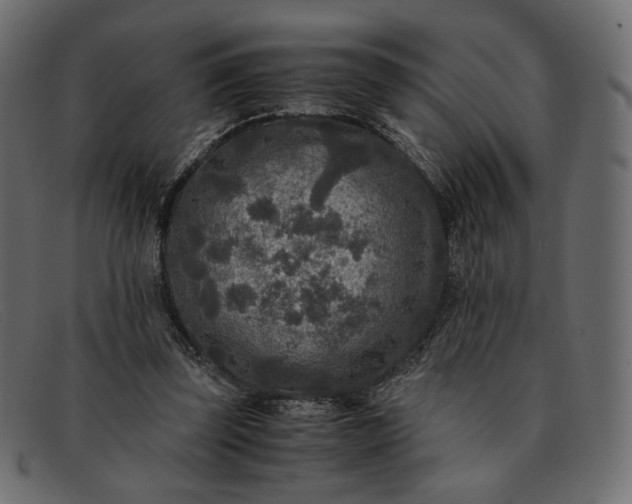 X0000091920347200709191344