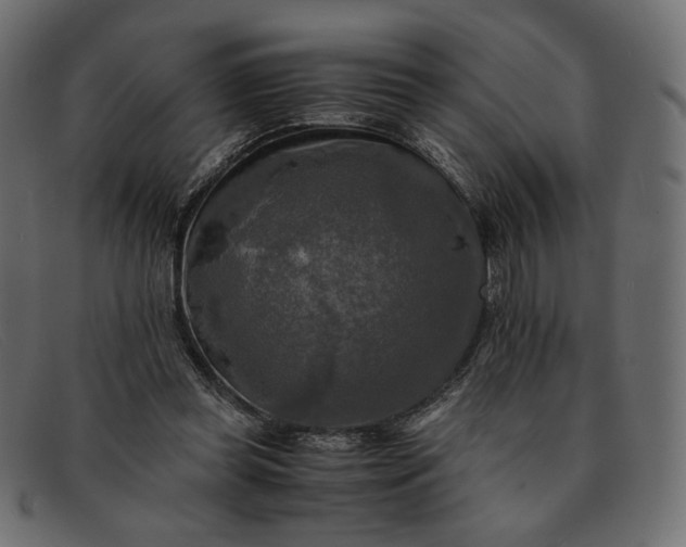 X0000091920349200709191344