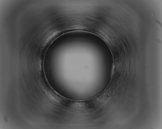 X0000091920350200709191344