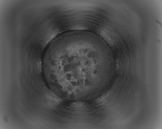 X0000091920351200709191344