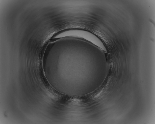 X0000091920352200709191344