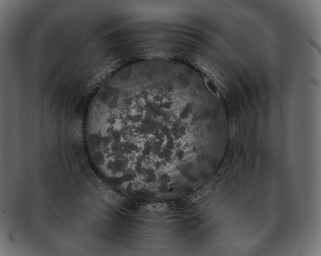 X0000091920353200709191344