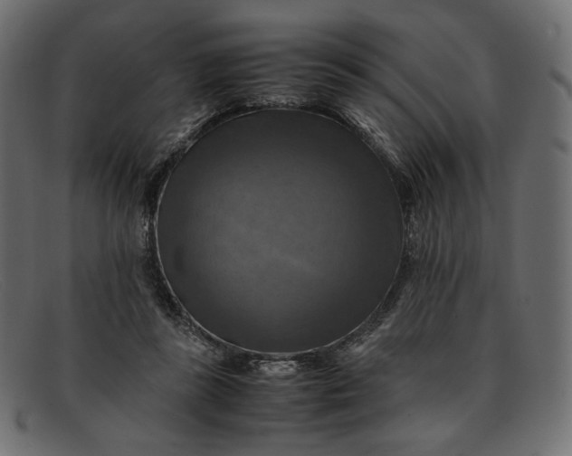 X0000091920355200709191344