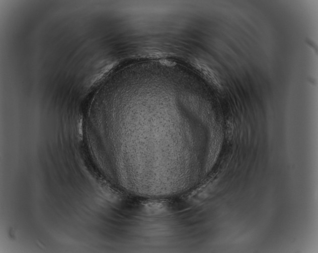 X0000091920358200709191344