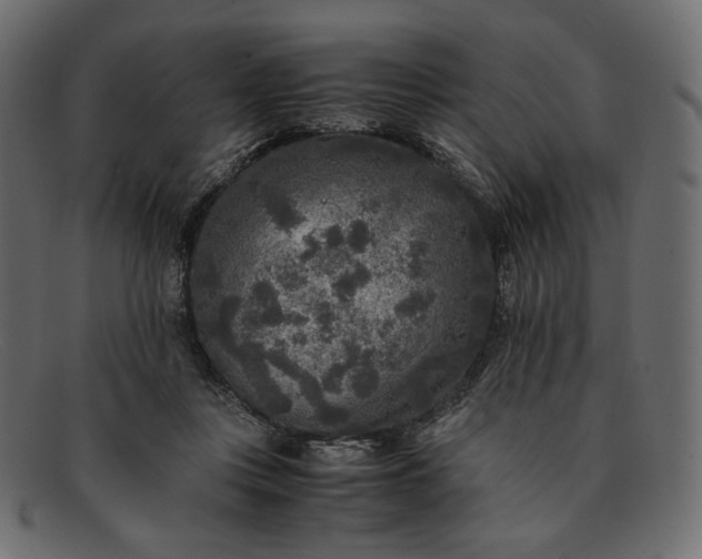 X0000091920359200709191344