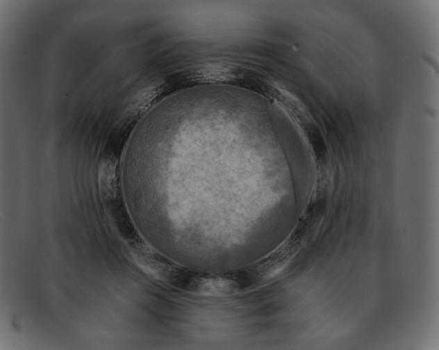 X0000091920360200709191344