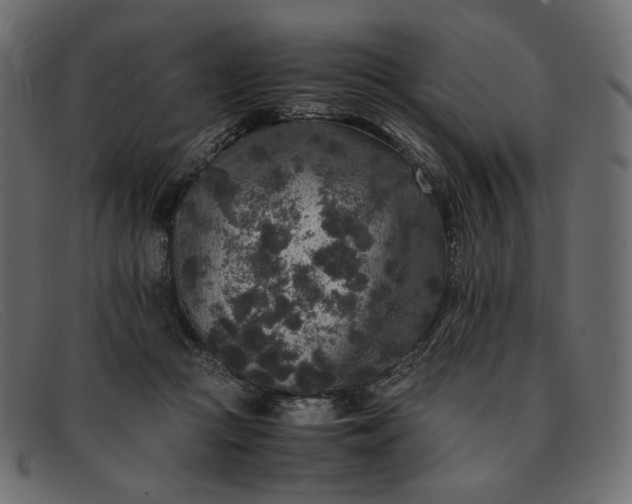 X0000091920361200709191344