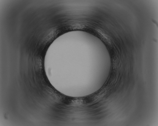 X0000091920362200709191344