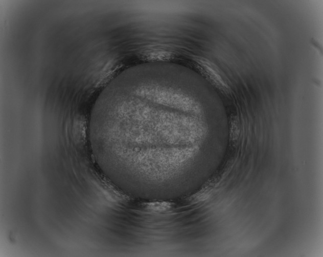 X0000091920363200709191344