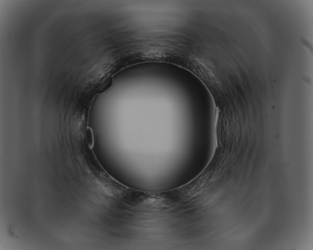 X0000091920364200709191344