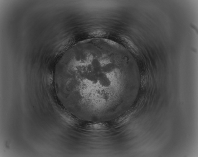 X0000091920365200709191344