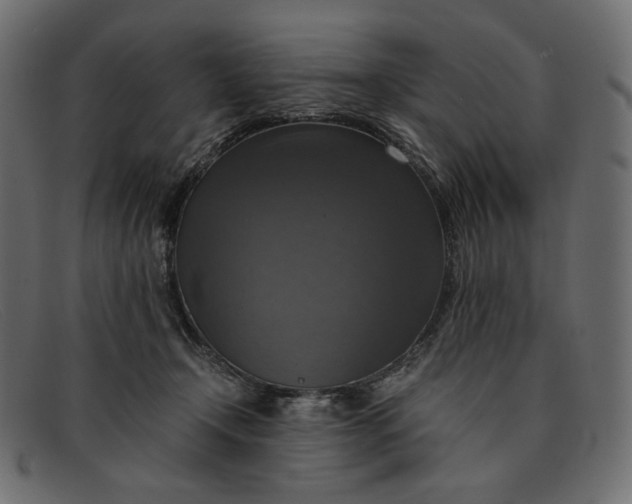 X0000091920366200709191344