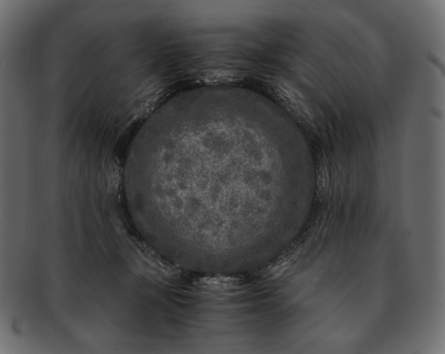 X0000091920367200709191344