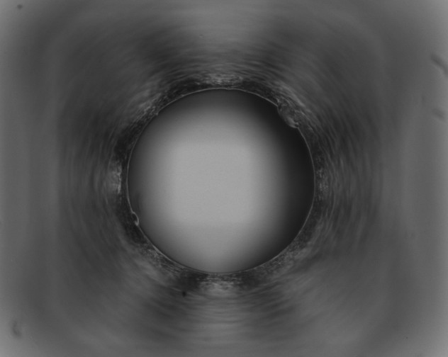 X0000091920368200709191344