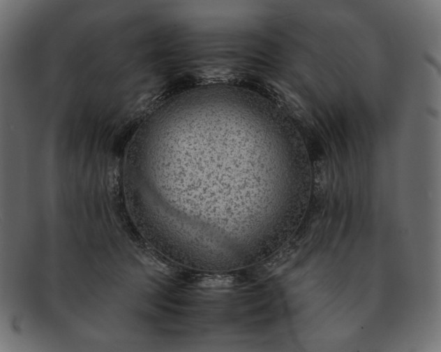 X0000091920369200709191344