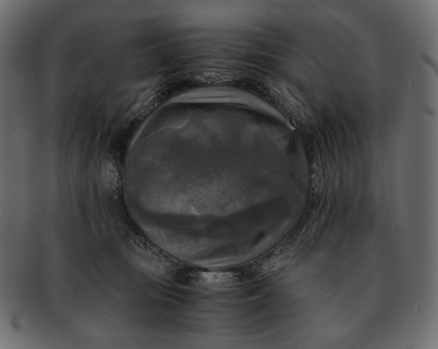 X0000091920371200709191344