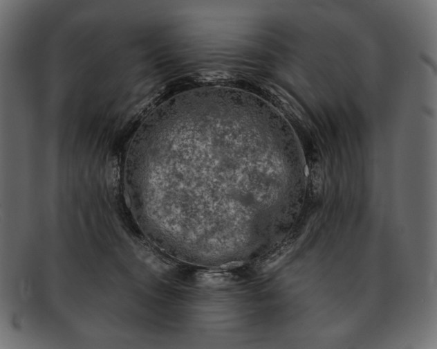 X0000091920372200709191344