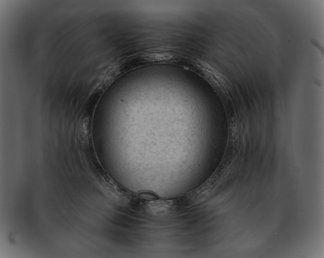 X0000091920373200709191344