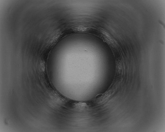 X0000091920374200709191344