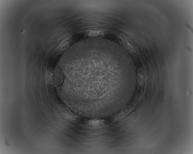 X0000091920375200709191344