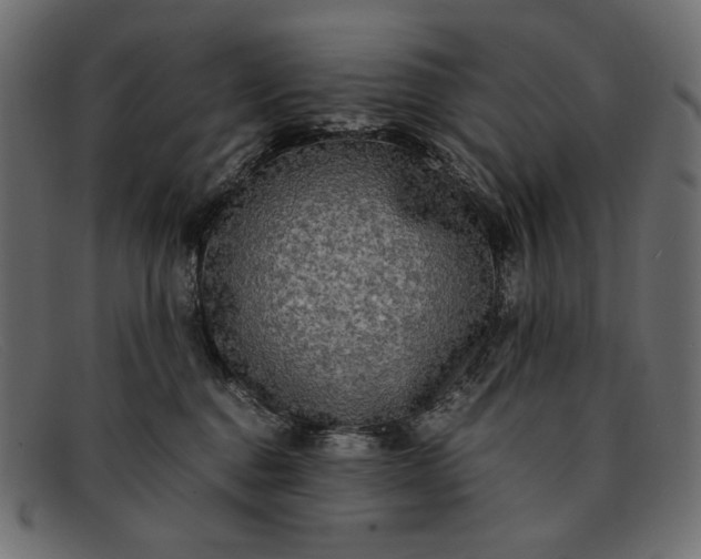 X0000091920376200709191344