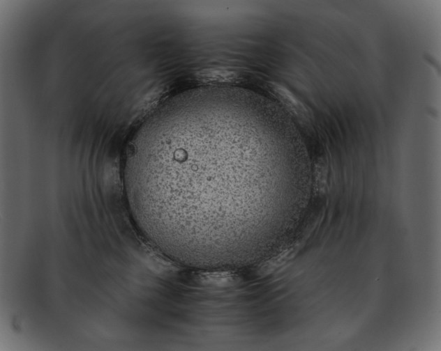 X0000091920377200709191344