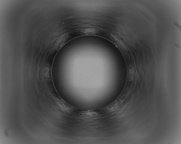 X0000091920379200709191344