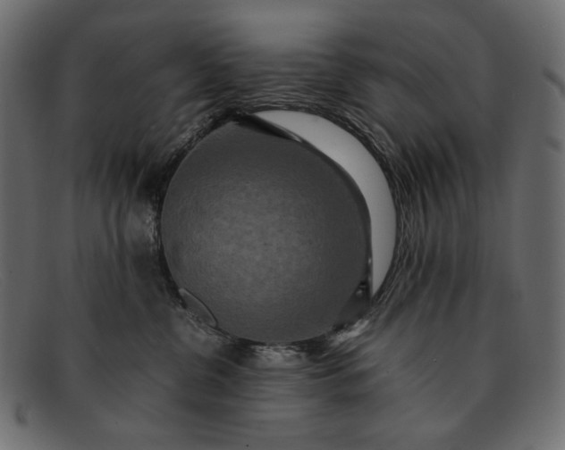 X0000091920380200709191344