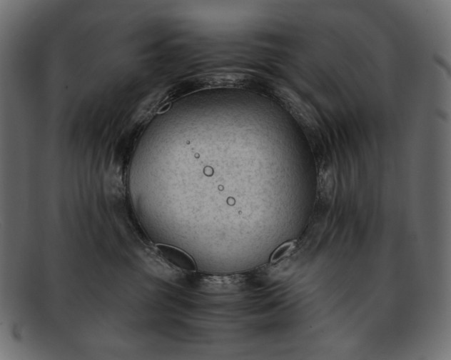 X0000091920381200709191344