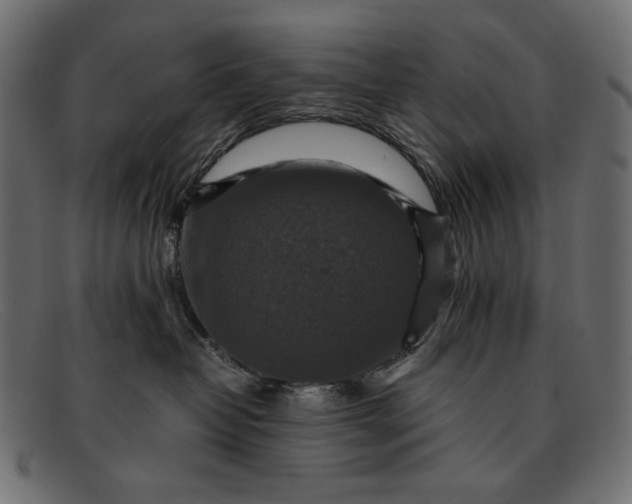 X0000091920382200709191344