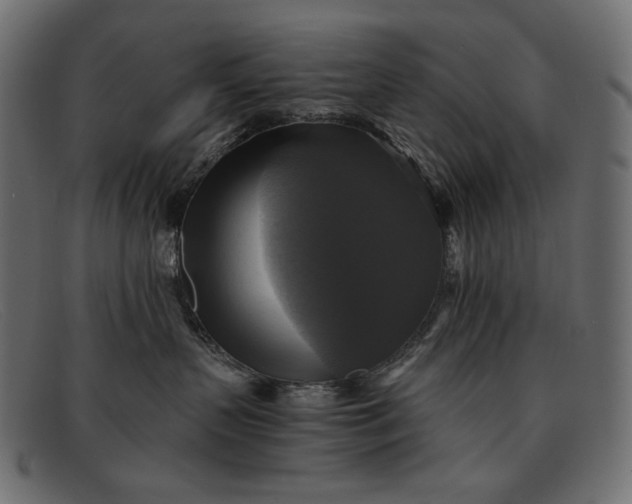 X0000091920383200709191344