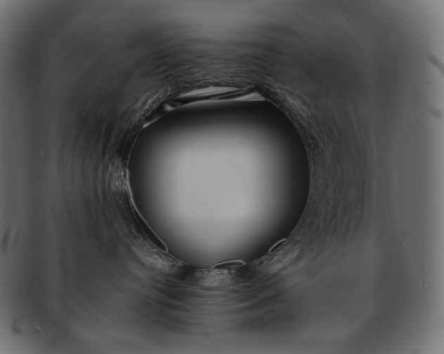 X0000091920384200709191344