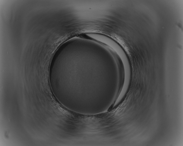 X0000091920385200709191344