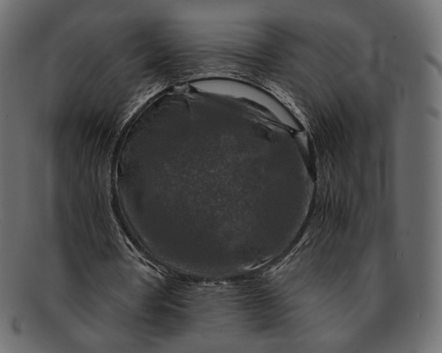 X0000091920386200709191344