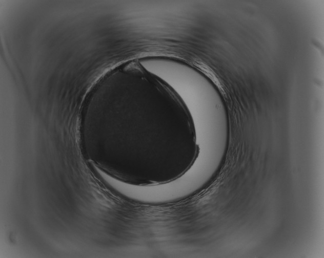 X0000091920387200709191344