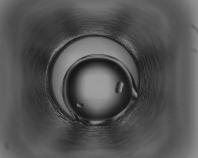 X0000091920388200709191344