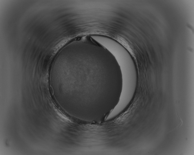 X0000091920389200709191344