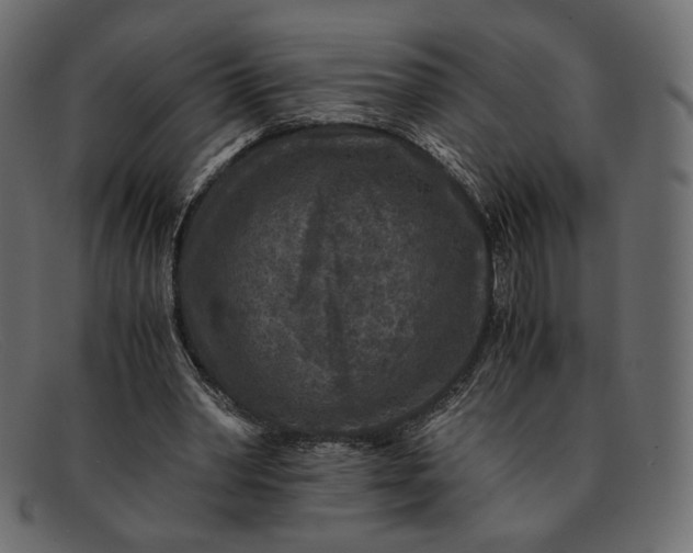 X0000091920390200709191344